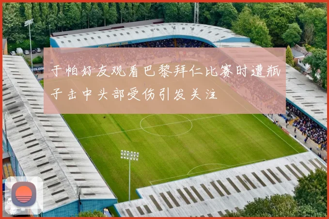 于帕好友观看巴黎拜仁比赛时遭瓶子击中头部受伤引发关注