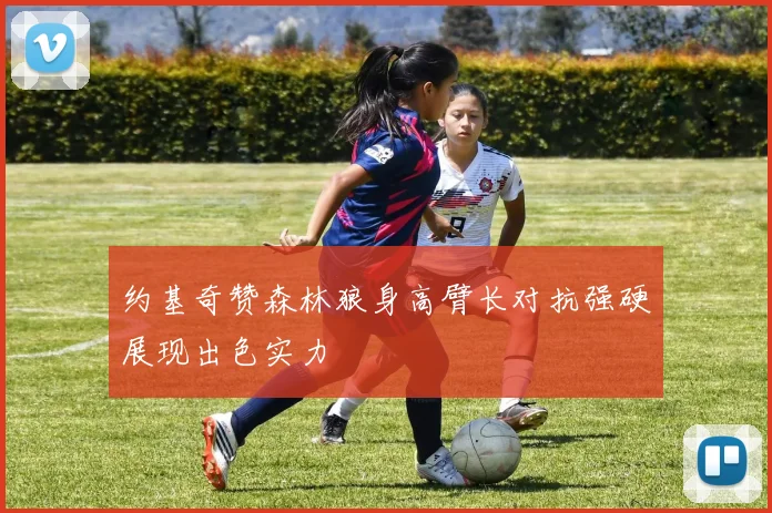 约基奇赞森林狼身高臂长对抗强硬展现出色实力